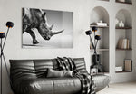 Black Rhino panel adding editorial mood to an office