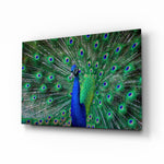Peacock glass wall art displayed above a walnut sideboard in a sunlit dining room with cane chairs and brass pendant lamp