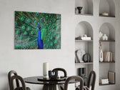 Peacock panel adding editorial elegance to a hallway