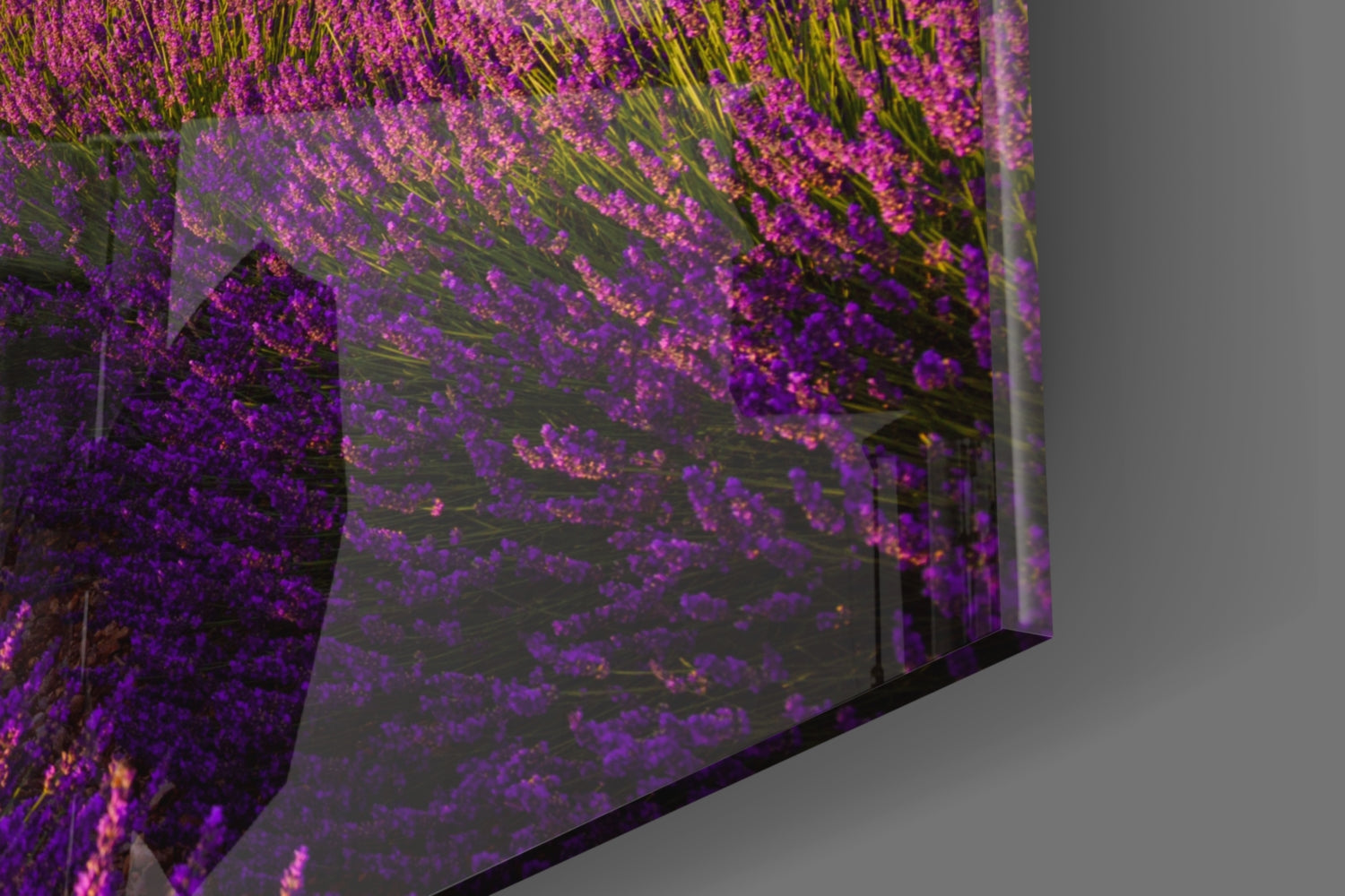 Lavender and Balloon Glass Art.