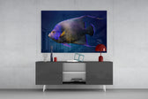 Queen Angelfish panel catching low light to reveal its underwater glow