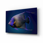 Queen Angelfish glass wall art displayed above a marble vanity in a midnight-blue bathroom with brushed-brass faucet and stoneware tray