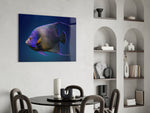 Queen Angelfish panel adding editorial calm to a kids room