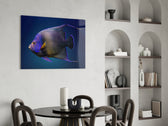 Queen Angelfish panel adding editorial calm to a kids room