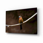 Bee Eater glass wall art displayed above a walnut credenza in a chestnut-painted hallway with herringbone floor and brass picture light