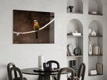 Bee Eater panel adding editorial calm to an office