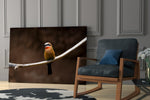 Bee Eater glass print enhancing a living room with cinematic warmth