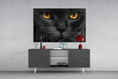 Cat panel catching low light to reveal its hypnotic depth