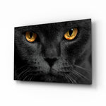 Cat glass wall art displayed above a charcoal velvet bed in a slate bedroom with brushed-brass sconces and onyx nightstands
