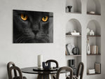 Cat panel adding editorial mood to an office