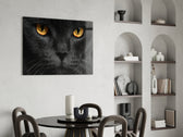 Cat panel adding editorial mood to an office