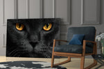 Cat glass print enhancing a living room with cinematic gravity