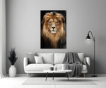 Lion close-up showing mane-haloed head with amber eyes against onyx void