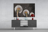 Dandelions panel catching low light to reveal its delicate gravity