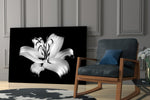Lilies glass print enhancing a hallway with cinematic gravity