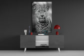 Leopard panel catching low light to reveal its predatory gravity