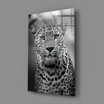 Low-key portrait panel bringing predatory gravity to a contemporary man cave
