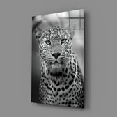 Low-key portrait panel bringing predatory gravity to a contemporary man cave