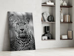 Leopard glass print enhancing a hallway with cinematic gravity