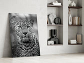 Leopard glass print enhancing a hallway with cinematic gravity