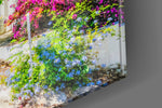 Aegean Beauties artwork anchoring a wall with bright naturalist palette