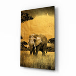 Elephant glass wall art displayed above a linen sofa in a warm safari lounge with rattan armchair and brass picture light