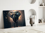 Elephant close-up showing broad ears and white tusks in warm spotlight