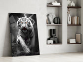 Tiger's Wrath glass print enhancing a hallway with dramatic palette