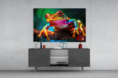 Froglet panel catching lamp light to reveal its photo-real depth