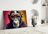 Cool Monkey close-up showing rainbow wayfarers and crimson-saffron split