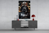 Darth Vader panel catching lamp light to reveal its cinematic glow