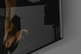 Lion in the Dark panel catching lamp light to reveal its cinematic glow