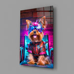 Hip Dog close-up showing Yorkie in neon eyeglasses and leather harness