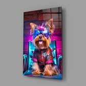 Hip Dog close-up showing Yorkie in neon eyeglasses and leather harness
