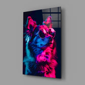 Dog with Glasses close-up showing Pomeranian in magenta sunglasses