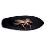 Dark Horned Creature Fantasy Glass Wall Art.