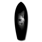 White Cat Half Face Black Background Glass Wall Art.