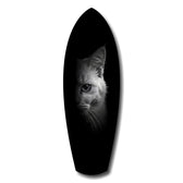 White Cat Half Face Black Background Glass Wall Art.
