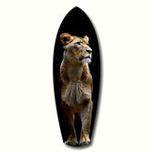 Lioness Glass Wall Art.