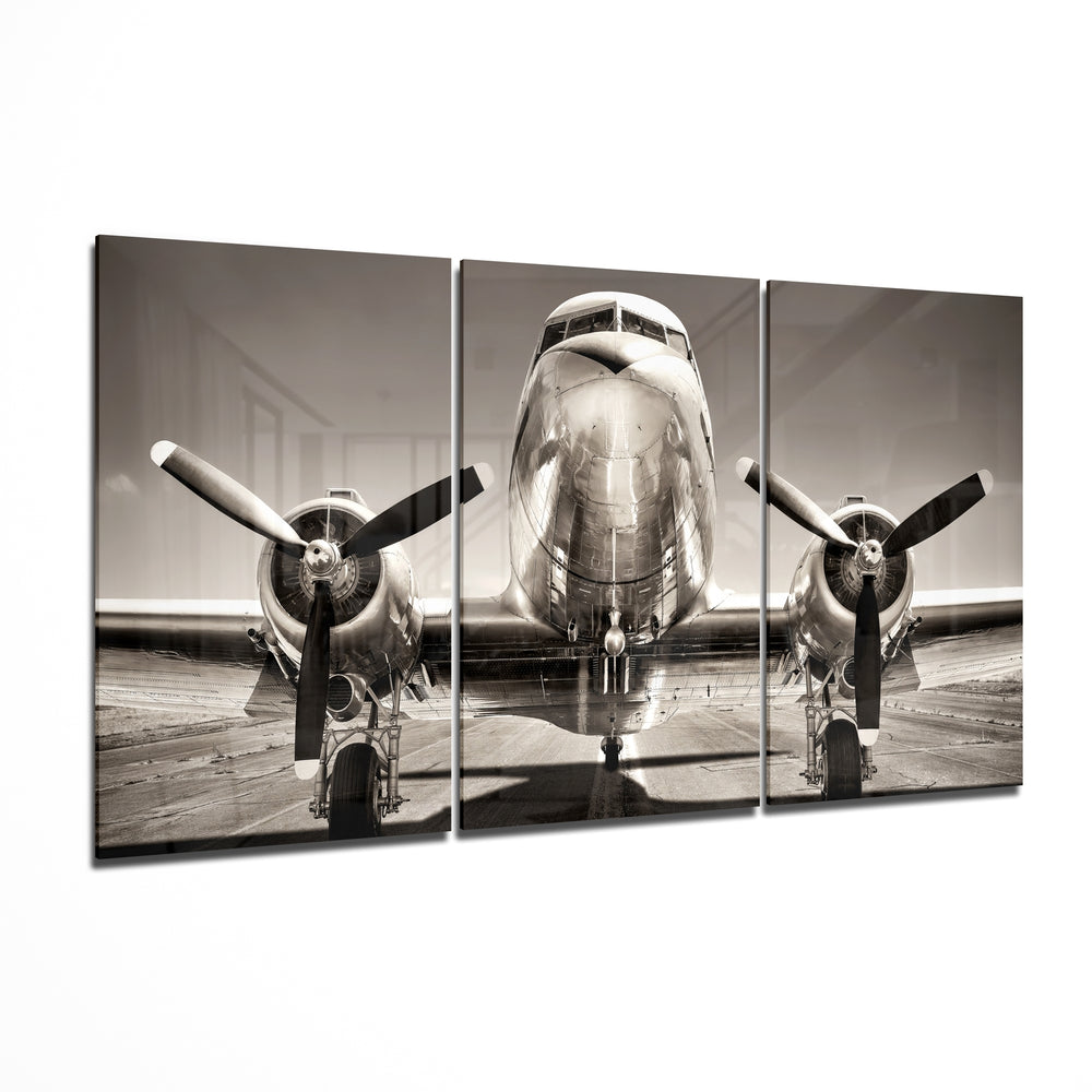 Plane Mega Glass Wall Art.