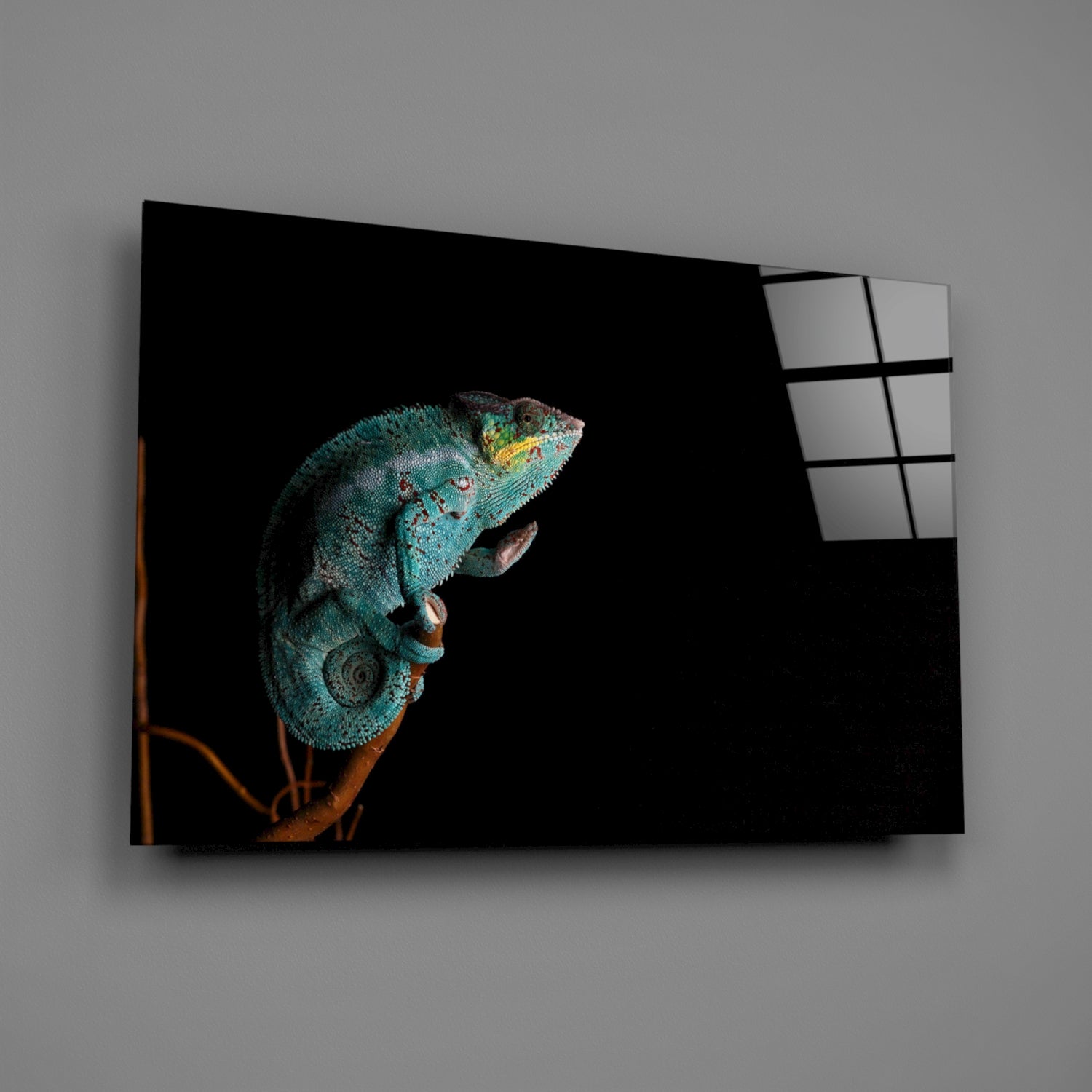 Chameleon Glass Wall Art.