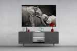 Elephants panel catching soft light to reveal its tonal hide