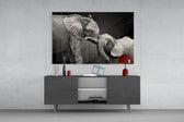 Elephants panel catching soft light to reveal its tonal hide