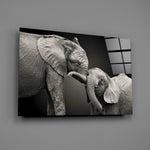 Tender elephant pair panel bringing companionable warmth to a contemporary living space