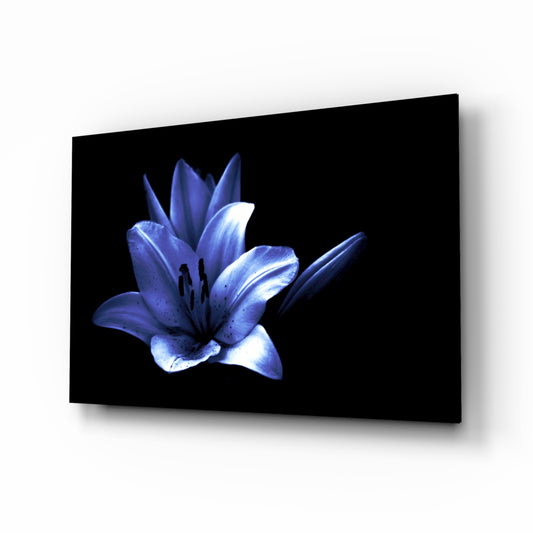 Purple Flower glass wall art displayed above a console in a designer interior