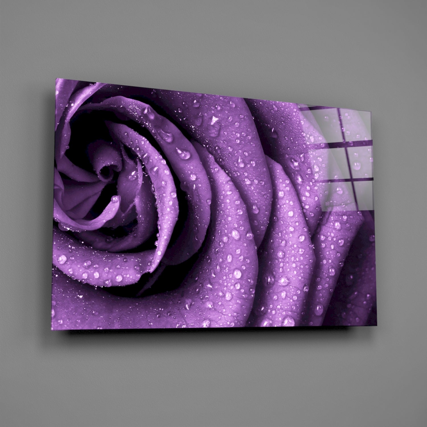 Purple Rose Glass Wall Art.