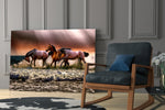 Horses glass print enhancing a hallway with equestrian spark