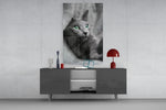 Cat panel catching soft light to reveal its green gaze