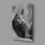 Green-eyed cat portrait bringing companionable warmth to a contemporary living space