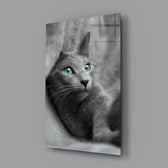 Green-eyed cat portrait bringing companionable warmth to a contemporary living space